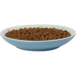 Frisco Kaleidoscope Pattern Non-skid Ceramic Cat Dish -Frisco 256092 PT3. AC SS1800 V1617042717