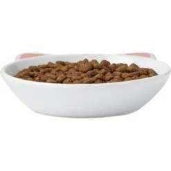 Frisco Cat Face Non-skid Ceramic Cat Dish -Frisco 256105 PT3. AC SS1800 V1615321286
