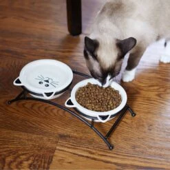 Frisco Cat Face Non-skid Elevated Double Ceramic Cat Bowl -Frisco 256113 PT2. AC SS1800 V1616522604