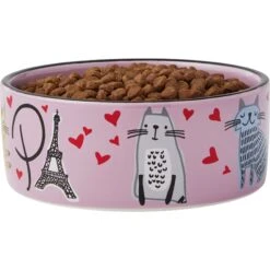 Frisco Paris Non-skid Ceramic Cat Dish -Frisco 256117 PT3. AC SS1800 V1615311168