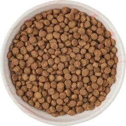 Frisco Marble Design Non-skid Ceramic Cat Bowl -Frisco 256125 PT5. AC SS1800 V1615311382