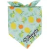 Frisco Citrus Personalized Dog & Cat Bandana 1 Frisco Citrus Personalized Dog & Cat Bandana -Frisco 258758 MAIN. AC SS1800 V1619558872