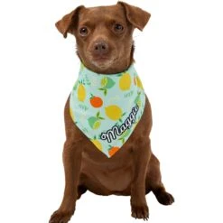 Frisco Citrus Personalized Dog & Cat Bandana 17 Frisco Citrus Personalized Dog & Cat Bandana -Frisco 258758 PT6. AC SS1800 V1619560354