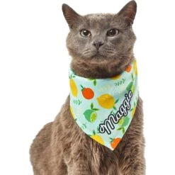 Frisco Citrus Personalized Dog & Cat Bandana 18 Frisco Citrus Personalized Dog & Cat Bandana -Frisco 258758 PT7. AC SS1800 V1619560408
