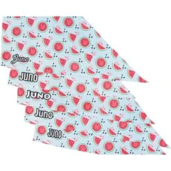 Frisco Watermelons Personalized Dog & Cat Bandana -Frisco 267458 PT4. AC SS1800 V1632428809