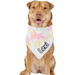 Frisco Tiedye Personalized Dog & Cat Bandana -Frisco 267482 PT6. AC SS1800 V1632428490