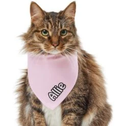 Frisco Solid Pastel Personalized Dog & Cat Bandana -Frisco 267514 PT7. AC SS1800 V1632434472