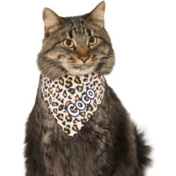 Frisco Leopard Print Personalized Dog & Cat Bandana 17 Frisco Leopard Print Personalized Dog & Cat Bandana -Frisco 267543 PT8. AC SS1800 V1623164342