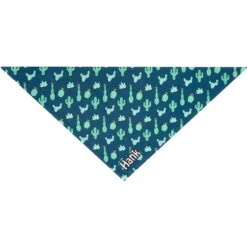 Frisco Cactus Personalized Dog & Cat Bandana -Frisco 267551 PT3. AC SS1800 V1623093806