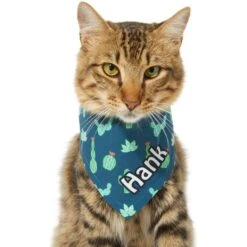 Frisco Cactus Personalized Dog & Cat Bandana -Frisco 267551 PT8. AC SS1800 V1623164657