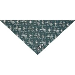 Frisco Boho Geo Personalized Dog & Cat Bandana 13 Frisco Boho Geo Personalized Dog & Cat Bandana -Frisco 267559 PT3. AC SS1800 V1623094369