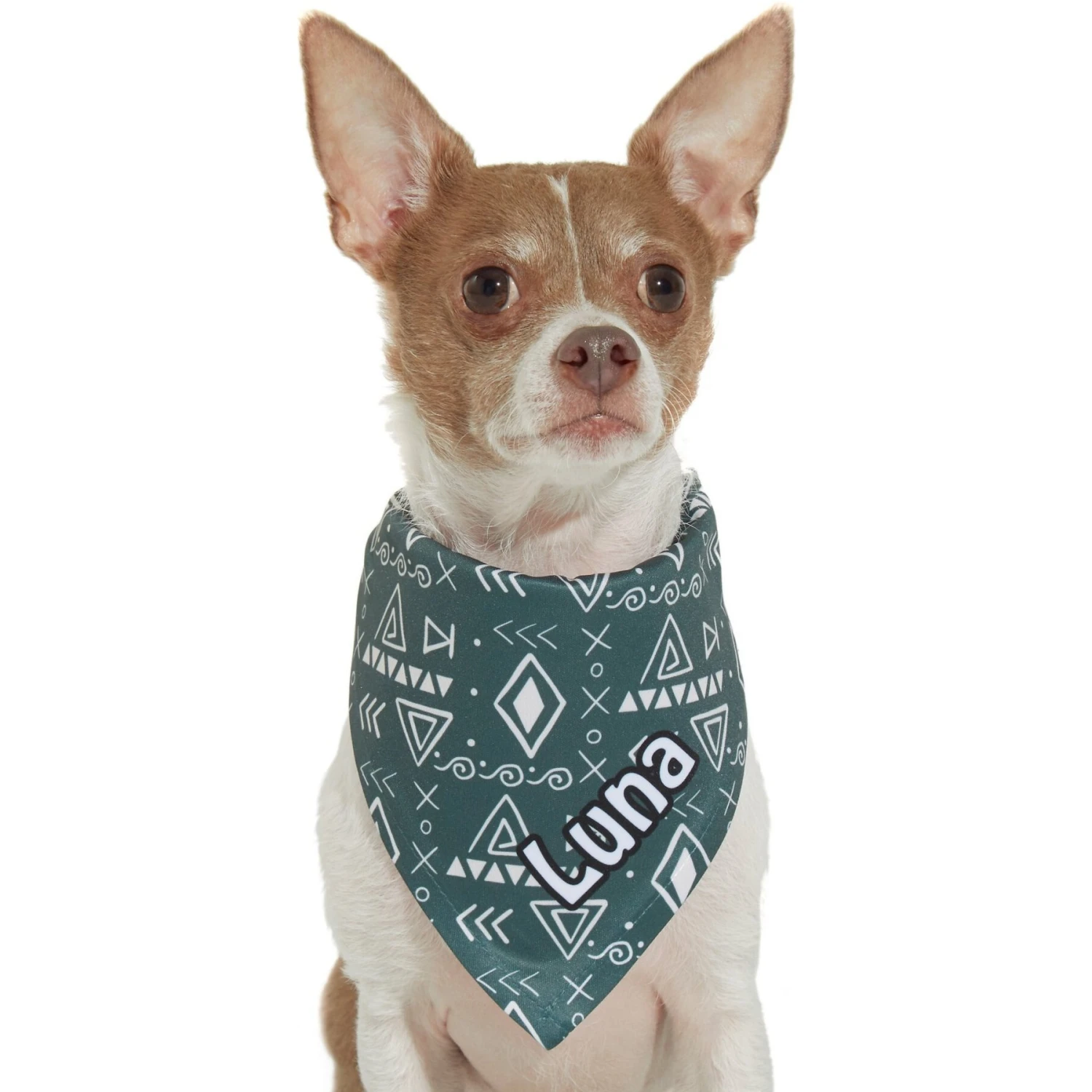 Frisco Boho Geo Personalized Dog & Cat Bandana 9 Frisco Boho Geo Personalized Dog & Cat Bandana - Image 7