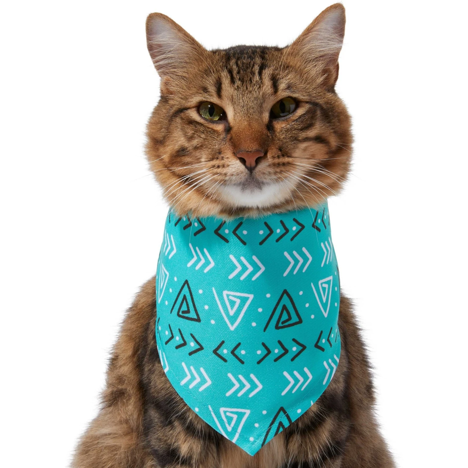 Frisco Geometric Dog & Cat Bandana 6 Frisco Geometric Dog & Cat Bandana - Image 4