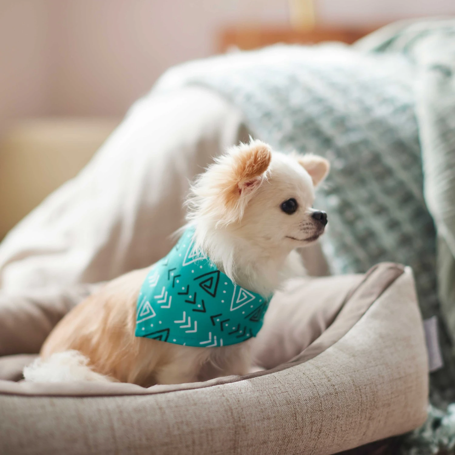 Frisco Geometric Dog & Cat Bandana 8 Frisco Geometric Dog & Cat Bandana - Image 6