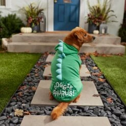 Frisco Doggiesaurus Dog & Cat Hoodie, Green 17 Frisco Doggiesaurus Dog & Cat Hoodie, Green -Frisco 268033 PT8. AC SS1800 V1629763006
