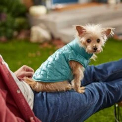 Frisco Lightweight Packable Insulated Dog & Cat Quilted Puffer Coat, Ocean Teal -Frisco 268280 PT8. AC SS1800 V1629836601