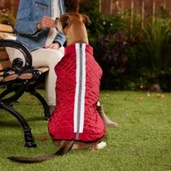 Frisco Mediumweight Reflective 2-in-1 Dog & Cat Fleece Coat 13 Frisco Mediumweight Reflective 2-in-1 Dog & Cat Fleece Coat -Frisco 268359 PT8. AC SS1800 V1629759326