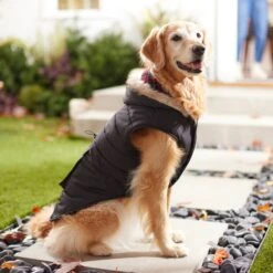 Frisco Mid-Heavyweight Cinching Insulated Dog & Cat Parka, Black/Red Plaid -Frisco 268382 PT8. AC SS1800 V1629762008