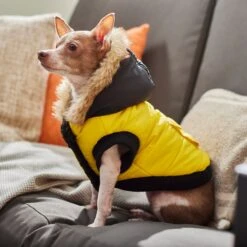 Frisco Heavyweight Anchorage Insulated Dog & Cat Parka, Yellow/Black 15 Frisco Heavyweight Anchorage Insulated Dog & Cat Parka, Yellow/Black -Frisco 268397 PT8. AC SS1800 V1629761431