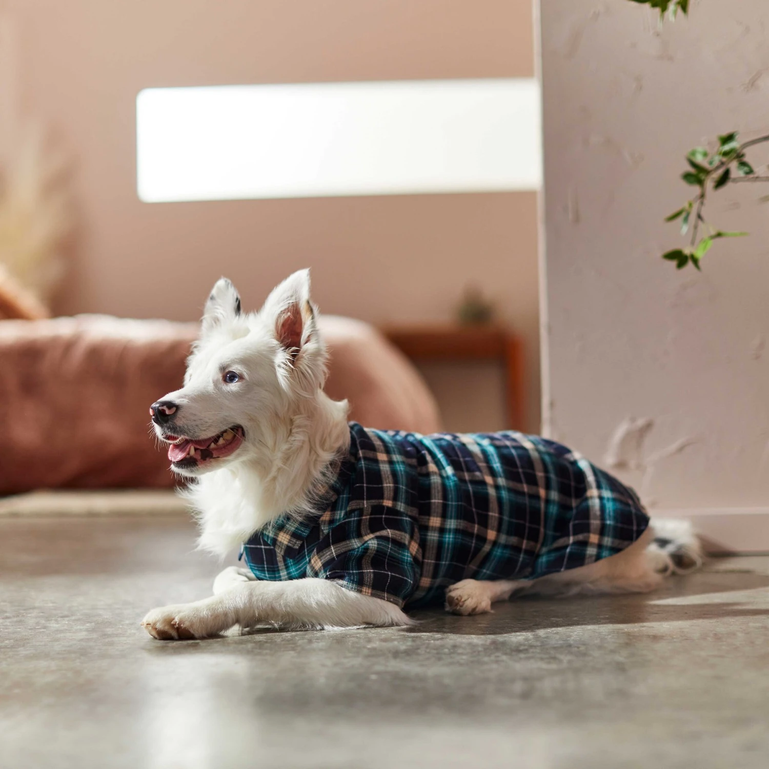 Frisco Multi-Plaid Dog & Cat Flannel Shirt 10 Frisco Multi-Plaid Dog & Cat Flannel Shirt - Image 8