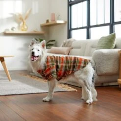 Frisco Orange & Olive Plaid Dog & Cat Flannel Shirt -Frisco 268612 PT8. AC SS1800 V1629759992