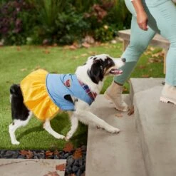 Frisco Chambray Plaid Dog & Cat Dress -Frisco 268637 PT8. AC SS1800 V1629757964