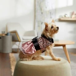 Frisco Pink Cheetah Dog & Cat Dress 16 Frisco Pink Cheetah Dog & Cat Dress -Frisco 268661 PT6. AC SS1800 V1637672527