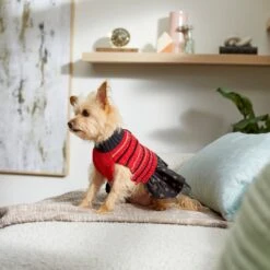 Frisco Chenille Knit Striped Dog & Cat Dress 15 Frisco Chenille Knit Striped Dog & Cat Dress -Frisco 268668 PT8. AC SS1800 V1629762896