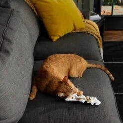 Frisco Halloween Good Witch, Bad Witch Reversible Plush Cat Toy With Catnip -Frisco 270301 PT3. AC SS1800 V1624824841