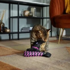 Frisco Halloween Witch Hat & Legs Plush Cat Toy With Catnip, 2 Count -Frisco 270305 PT3. AC SS1800 V1624817161