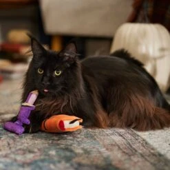 Frisco Halloween Enchanted Book & Candle Plush Cat Toy With Catnip, 2 Count -Frisco 270321 PT3. AC SS1800 V1689878926