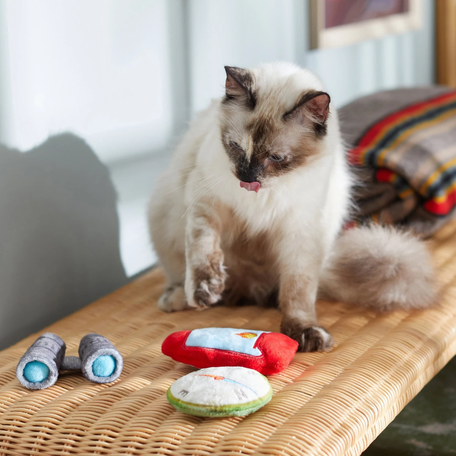 Frisco Camping Compass & Lantern Plush Cat Toy With Catnip, 2 Count 5 Frisco Camping Compass & Lantern Plush Cat Toy With Catnip, 2 Count - Image 3