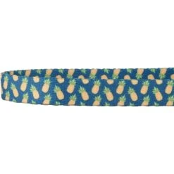 Frisco Pineapple Polyester Personalized Breakaway Cat Collar With Bell -Frisco 271597 PT3. AC SS1800 V1618937222