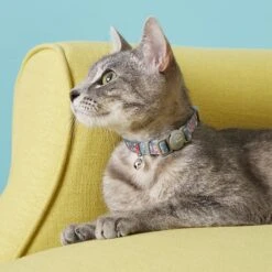 Frisco Rose Polyester Personalized Breakaway Cat Collar With Bell 12 Frisco Rose Polyester Personalized Breakaway Cat Collar With Bell -Frisco 271600 PT4. AC SS1800 V1618936952