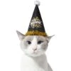 Frisco Happy New Year Dog & Cat Hat -Frisco 276190 MAIN. AC SS1800 V1631302647