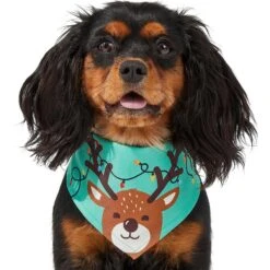 Frisco Peekaboo Reindeer Dog & Cat Bandana -Frisco 276198 PT3. AC SS1800 V1637687013