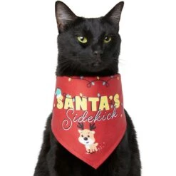 Frisco Santa's Sidekick Dog & Cat Bandana