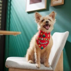 Frisco Santa's Favorite & Cheers To The New Year Dog & Cat Reversible Bandana -Frisco 276285 PT6. AC SS1800 V1637668015