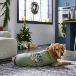 Frisco Joyful Hygge-Inspired Dog & Cat T-shirt 13 Frisco Joyful Hygge-Inspired Dog & Cat T-shirt -Frisco 276488 PT5. AC SS1800 V1637666798