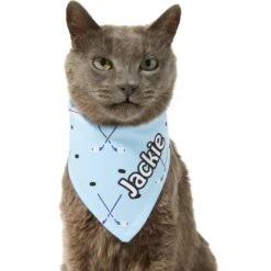 Frisco Ice Hockey Personalized Dog & Cat Bandana 18 Frisco Ice Hockey Personalized Dog & Cat Bandana -Frisco 287048 PT7. AC SS1800 V1623246478