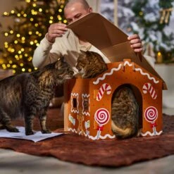 Frisco Holiday Gingerbread House Cardboard Cat House Cat Toy 11 Frisco Holiday Gingerbread House Cardboard Cat House Cat Toy -Frisco 287289 PT3. AC SS1800 V1695046487