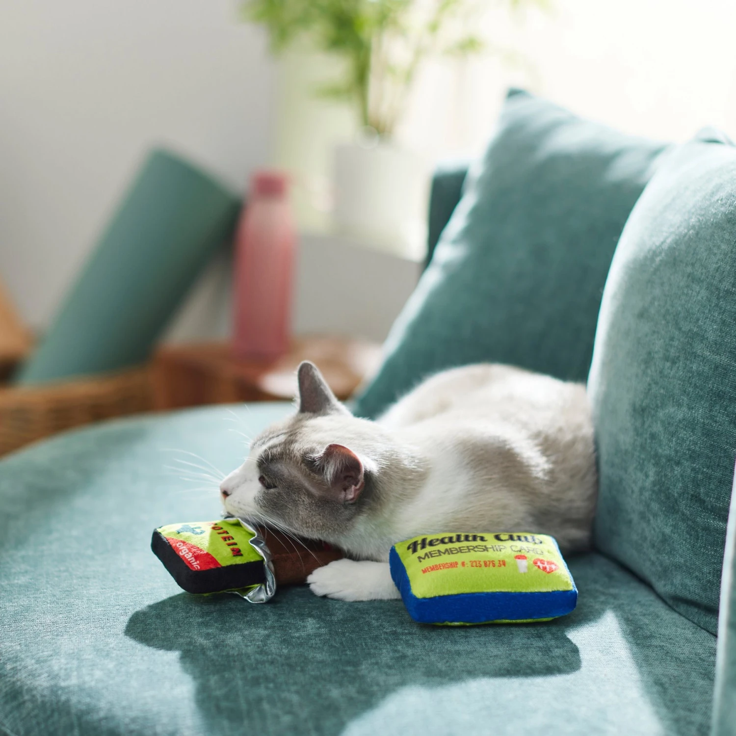 Frisco Protein Bar & Gym Membership Plush Cat Toy With Catnip 6 Frisco Protein Bar & Gym Membership Plush Cat Toy With Catnip - Image 4