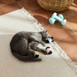 Frisco Pre-Workout & Protein Plush Cat Toy With Catnip, 3 Count -Frisco 288953 PT3. AC SS1800 V1638287817