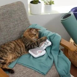 Frisco Scale & Message Bubble Plush Cat Toy With Catnip, 2 Count -Frisco 288959 PT3. AC SS1800 V1638288401