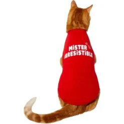 Frisco Mister Irresistible Dog & Cat T-Shirt 11 Frisco Mister Irresistible Dog & Cat T-Shirt -Frisco 292026 PT2. AC SS1800 V1637268745