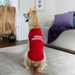 Frisco Mister Irresistible Dog & Cat T-Shirt 14 Frisco Mister Irresistible Dog & Cat T-Shirt -Frisco 292026 PT6. AC SS1800 V1701797008