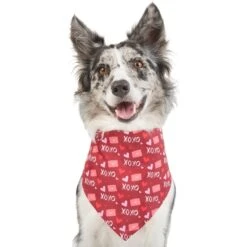Frisco Love Letters Dog & Cat Bandana