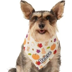 Frisco Pumpkin Spice Personalized Dog & Cat Bandana 17 Frisco Pumpkin Spice Personalized Dog & Cat Bandana -Frisco 296998 PT6. AC SS1800 V1627654408