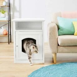 Frisco Decorative Side Table Cat Litter Box Cover & Frisco Open Top Cat Litter Box With Rim, Large 13 Frisco Decorative Side Table Cat Litter Box Cover & Frisco Open Top Cat Litter Box With Rim, Large -Frisco 297992 PT4. AC SS1800 V1621306337