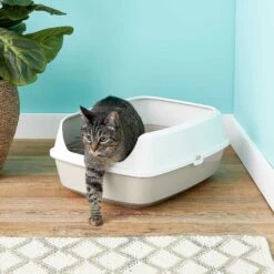 Frisco Decorative Side Table Cat Litter Box Cover & Frisco Open Top Cat Litter Box With Rim, Large 15 Frisco Decorative Side Table Cat Litter Box Cover & Frisco Open Top Cat Litter Box With Rim, Large -Frisco 297992 PT6. AC SS1800 V1621299762